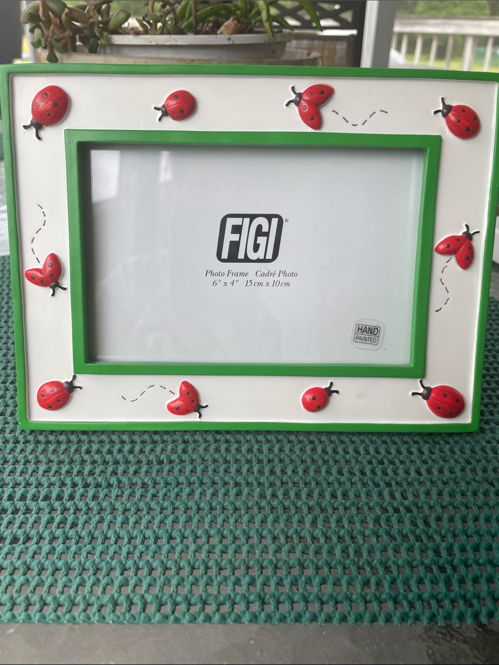 Beautiful ladybug picture frame 4x6 hand painted New in Box